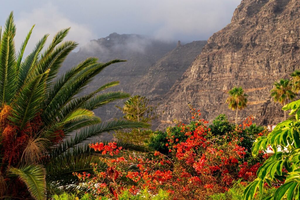 St Kitts and Nevis Passport